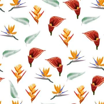 Orange Strelitzia flower pattern design with leaves and stem, calla lilies, h Stockillustratie