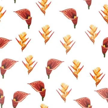 Orange Strelitzia flower pattern design with leaves and stem, calla lilies, h Stockillustratie