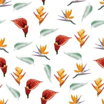 Orange Strelitzia flower pattern design with leaves and stem, calla lilies,.. イラスト素材