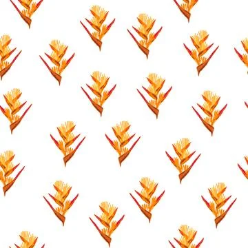 Orange Strelitzia flower pattern design with leaves and stem, calla lilies, h Stockillustratie