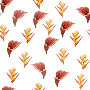 Orange Strelitzia flower pattern design with leaves and stem, calla lilies, h Stockillustratie