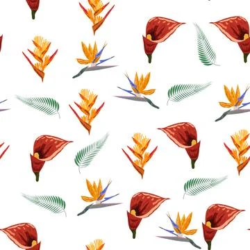 Orange Strelitzia flower pattern design with leaves and stem, calla lilies,.. Stockillustratie
