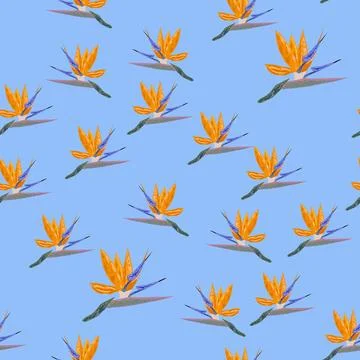 Orange Strelitzia flower pattern design with leaves and stem. Hawaiian beach  Stockillustratie