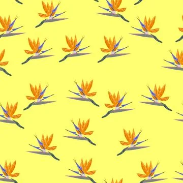 Orange Strelitzia flower pattern design with leaves and stem. Hawaiian beach  イラスト素材