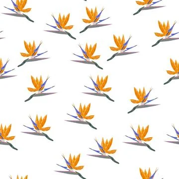 Orange Strelitzia flower pattern design with leaves and stem. Hawaiian beach  イラスト素材