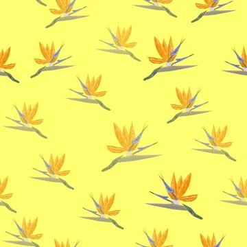 Orange Strelitzia flower pattern design with leaves and stem. Hawaiian beac.. イラスト素材