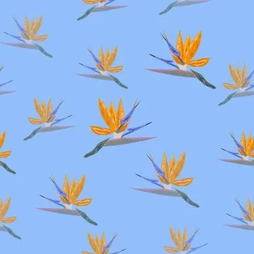 Orange Strelitzia flower pattern design with leaves and stem. Hawaiian beac.. Stockillustratie