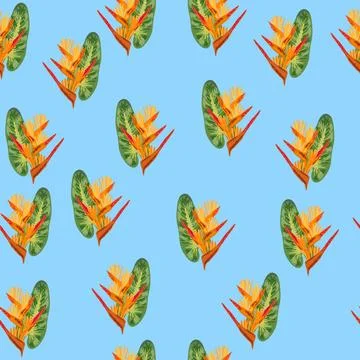 Orange Strelitzia flower pattern design with leaves and stem, calla lilies,.. Stockillustratie