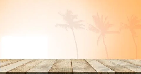 Orange Studio Background Shadow Palm Leaf Summer Backdrop Wall Kitchen 写真素材
