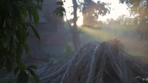 Orange Sun Rays Illuminating the Fog. Rayos de Sol Naranjas Niebla Stock Footage 291648433