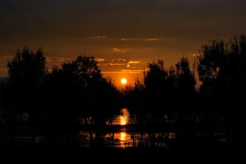 Orange sun reflecting on water while rising up behind trees. Stock Photos