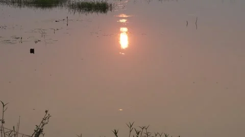 Orange sun setting over calm wetland lake 스톡 동영상 329385894