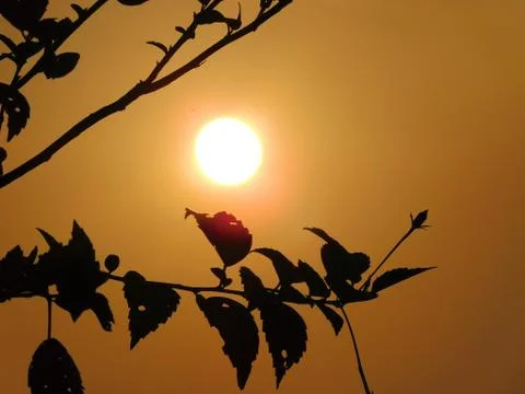 Orange sun view between the dark clouds Stock Photos