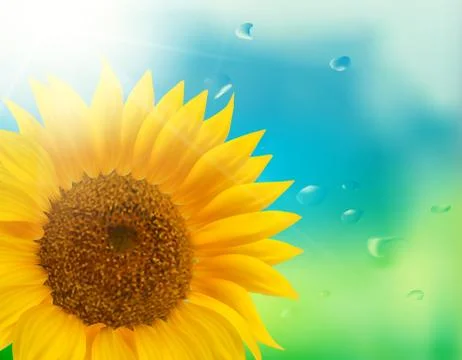 Orange sunflower with spring background. Stock Illustration