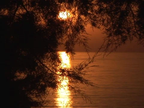 Orange Sunrise Stock Footage 489954