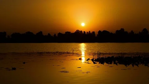 Orange sunrise on the river Stock Footage 99002143