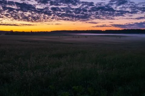 Orange sunset in the background of the forest. Stock Photos