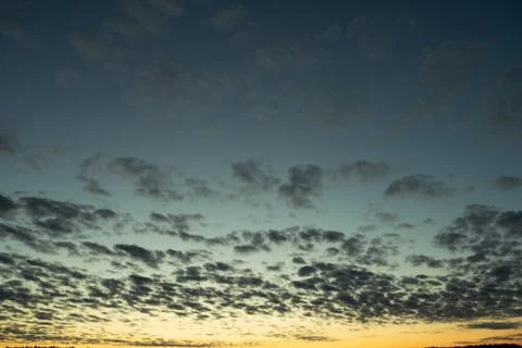 Orange sunset in the background of the forest. Stock Photos