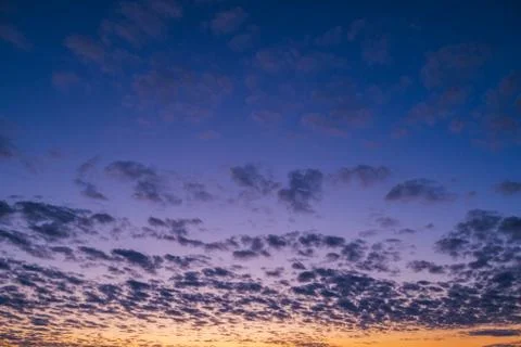 Orange sunset in the background of the forest. Foto stock