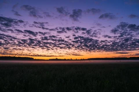 Orange sunset in the background of the forest. Stock Photos