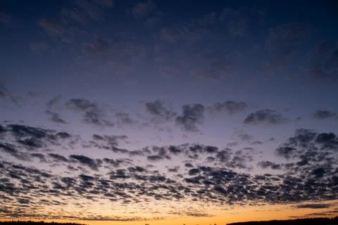 Orange sunset in the background of the forest. Stock Photos