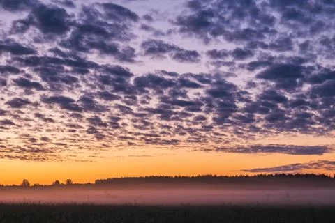 Orange sunset in the background of the forest. Foto stock