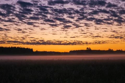 Orange sunset in the background of the forest. Stock Photos