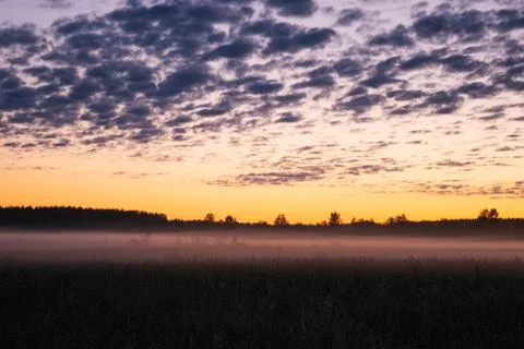 Orange sunset in the background of the forest. Stock Photos