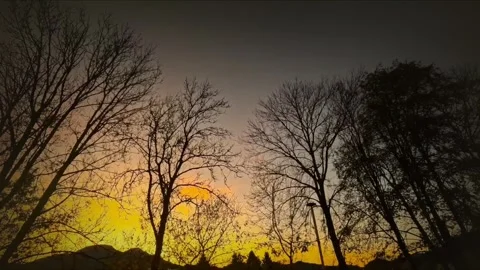 Orange sunset behind dark trees right pan Stock Footage 320550647