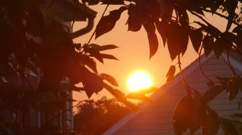 Orange Sunset Behind Homes and Trees, 4K Stock Footage 53511016