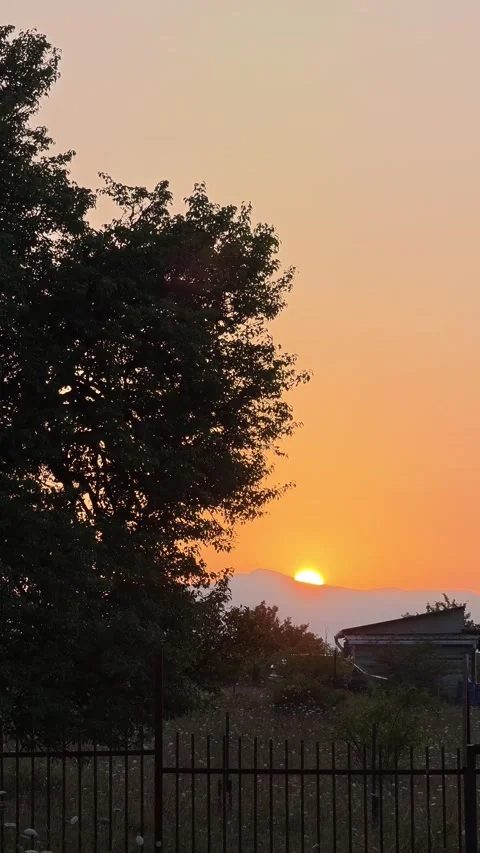 Orange sunset behind a tree and a fence Vidéo 315356936