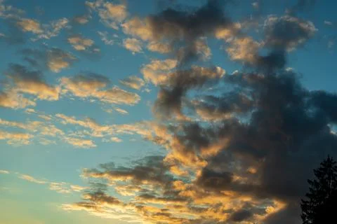 Orange sunset clouds against a turquoise evening sky with a small dark tree Stock Photos