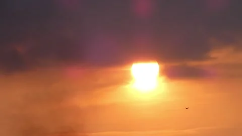 Orange sunset with clouds and smog, flying bird Stock Footage 273834526