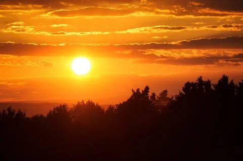 Orange sunset with clouds in the bright sky and black tree silhouettes 스톡 사진
