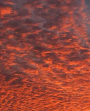 Orange sunset clouds Stock Photos