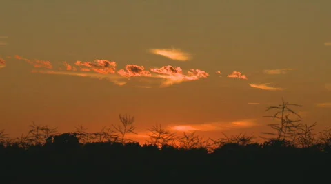 Orange Sunset Vídeo Stock 875479