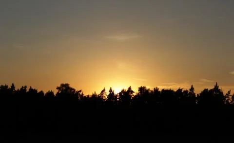 Orange sunset in the forest Stock Photos