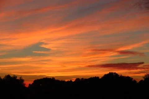Orange sunset over trees. Twilight with bright sunset. Evening landscape Stock Photos