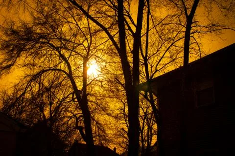 Orange sunset Foto stock
