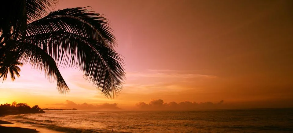 Orange sunset in Polynesia. Stock Photos