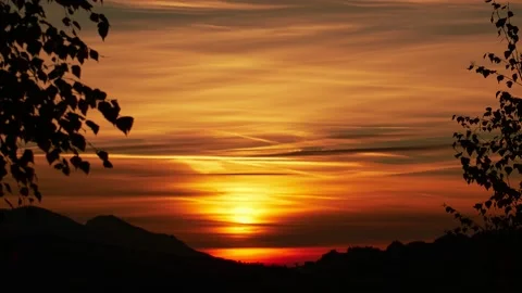 Orange sunset, Silhouette trees, 4k timelapse video Stock Footage 170697268