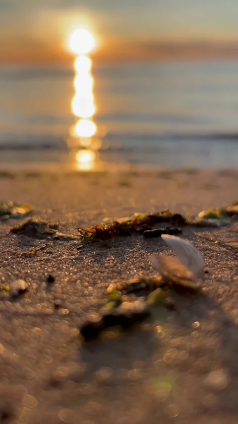 Orange sunset sky with clouds against the backdrop of ocean waves and the coast. Stock Footage 280237961
