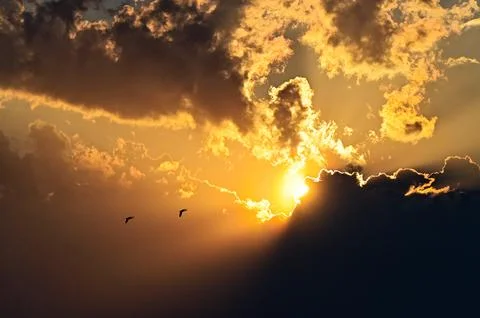 Orange sunset sky with clouds and two birds in dark silhouette in Solituede.. Stock Photos