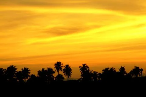 Orange sunset sky Stock Photos