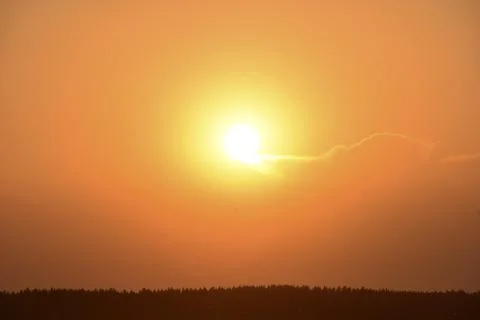 Orange sunset in the summer evening on the background of the forest and the c Foto stock