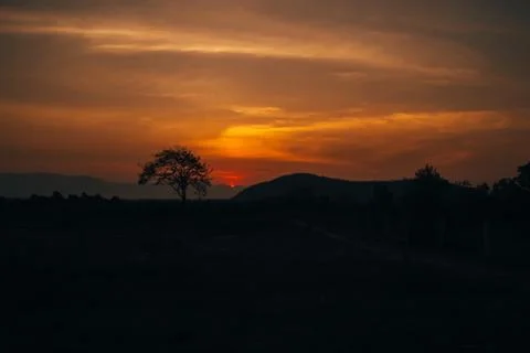 Orange sunset with tree and mountain Stock Photos