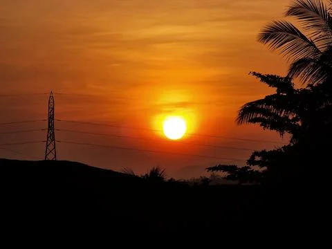 Orange sunset with tree's shadow Stock-Fotos