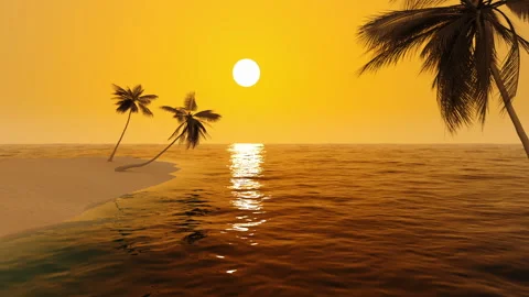 Orange sunset on a wild tropical beach with palm trees Stock Footage 188448657