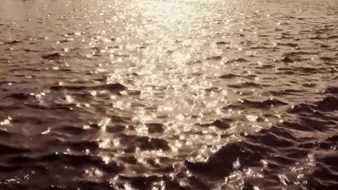 Orange sunshine in the lake Stock Footage 84967551