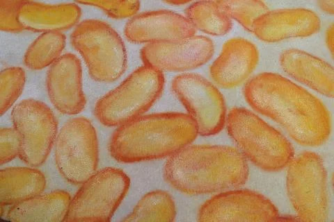 Orange sweet  pattern Foto stock
